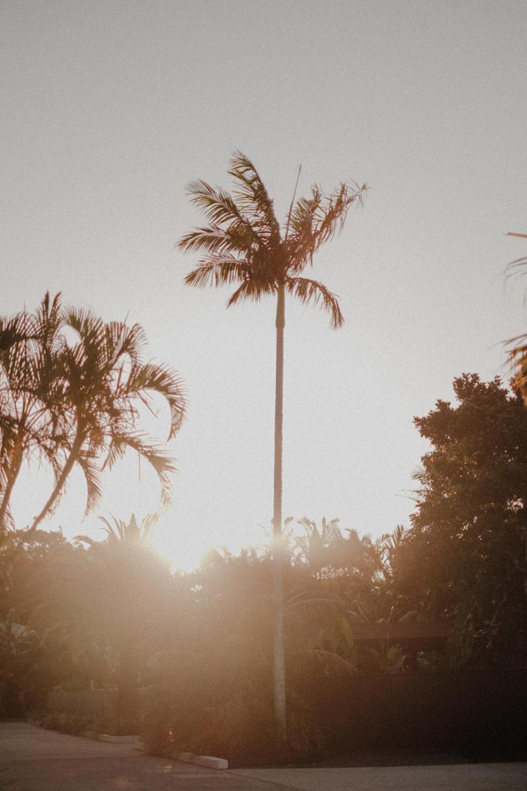 Hotel The Bower Byron Bay Exterior foto
